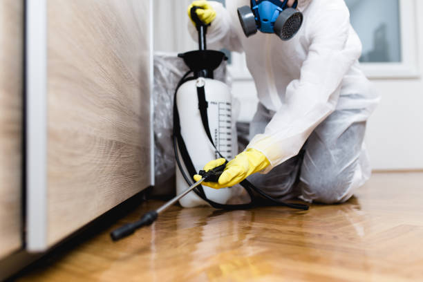 Best Pest Inspection Near Me  in Muldraugh, KY