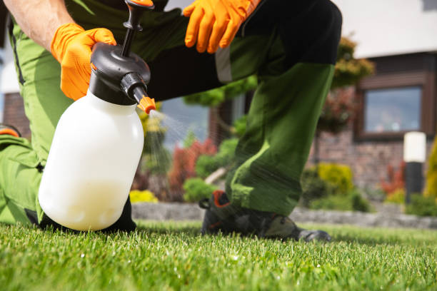 Best Best Pest Control Companies  in Muldraugh, KY