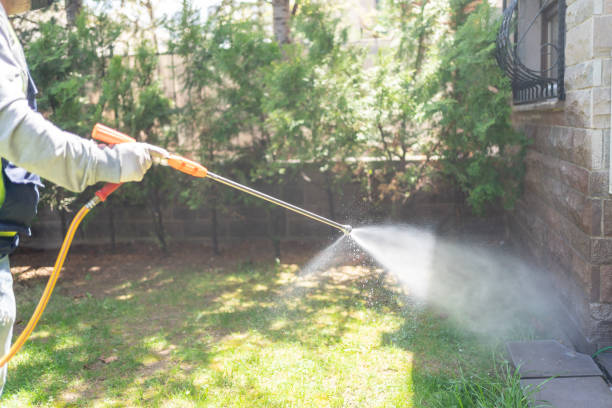Best Exterminator Services  in Muldraugh, KY