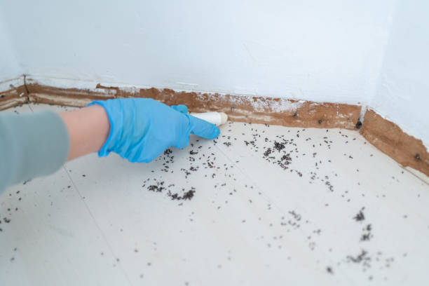  Muldraugh, KY Pest Control Pros