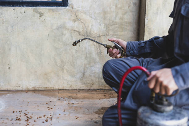 Best Flea Control Services  in Muldraugh, KY