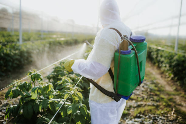 Trusted Muldraugh, KY Pest Control Experts